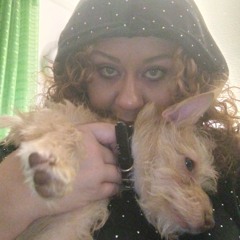W-E-A-K whistletella Dasher