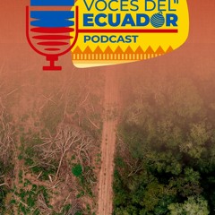 Voces del Ecuador: Amazonía ecuatoriana pierde 379 mil hectáreas de bosque