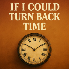 If I Could Turn Back Time