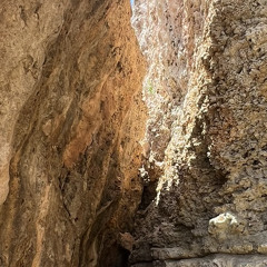 HardTech 155BPM Live set