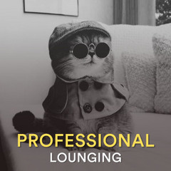 Professional Lounging
