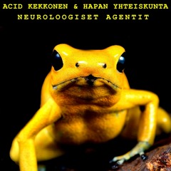 Acid Kekkonen & Hapan Yhteiskunta -  No Known Antidote