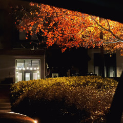 Deep End - Holly Humberstone (Cover)