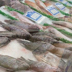 Central Fish (3.30.20)