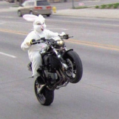 STIM FLOW prod. brodi xen