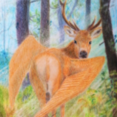 fakemink Tropical Freestyle