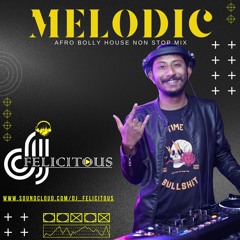Melodic Afro Bolly House Mix | DJ FELICITOUS |
