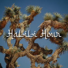 Habibi Hour - Episode 14 Rüfüs Du Sol Edition (02.18.24)