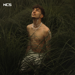 yanvince - triple no [NCS Release]