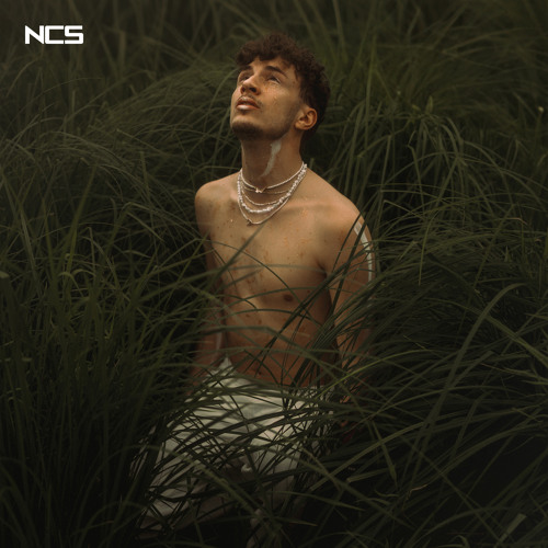yanvince - triple no [NCS Release]
