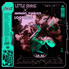 Little Snake and Amon Tobin - Loophole