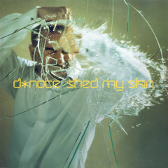 Shed My Skin (Laurent Wery Radio Edit)