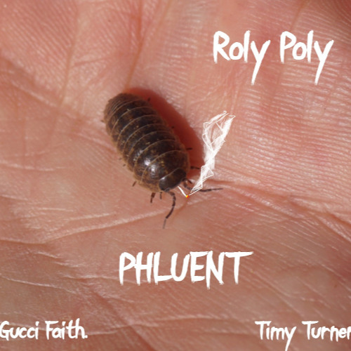 #PHLUENT RolyPoly (Prod. Lucid Soundz)