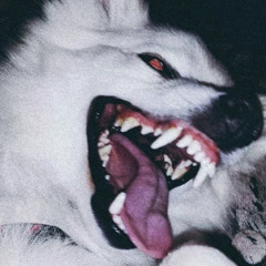 NIKUDYSHIN - Get High