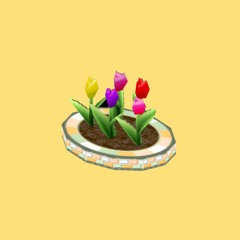marigold