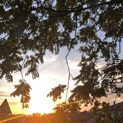 fine line Harry Styles (Zita's version)