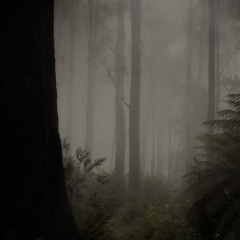 RIP LIFE  DEMO X cryalxt