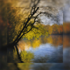 Calm river
