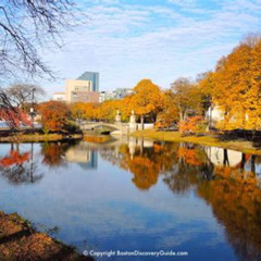 Review Special Price Autumn In New England: Fall Foliage Sightseeing Day-Trip With Lunch From Boston