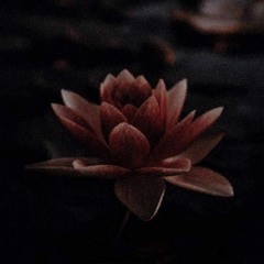 still with you (ft. Lyn Lapid)