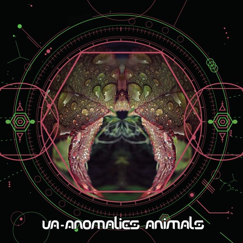 08 Meerkut & Metaphyz & Anubian & Akkma - Anomalies Animals