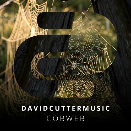 Cobweb