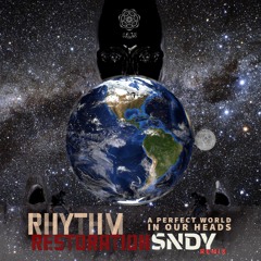 Rhythm Restoration- A Perfect World In Our Heads (SNDY Remix)