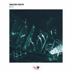 Walter Vooys - Do It (Original Mix)