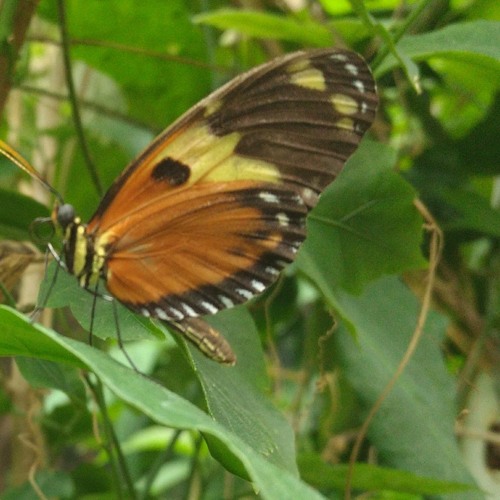 Stream Mink by Sound Propagation | Listen online for free on SoundCloud