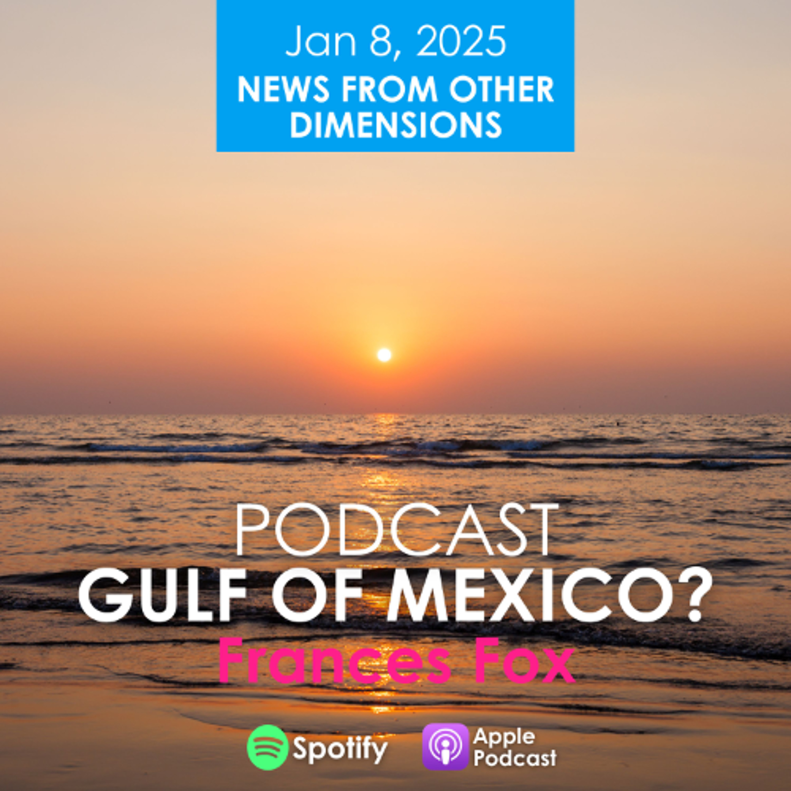 Frances Fox: News From Other Dimensions