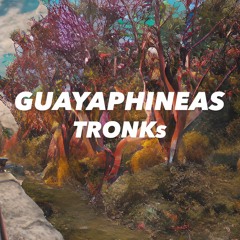 GuayaPhineas