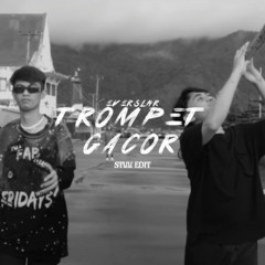 Trompet Gacor BreakBeat ( STVV EDIT )