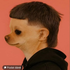 FELIX - svévolná řeč těla a driftuju myslí