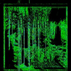 Lovely Bastards (fxxor breakcore remix)