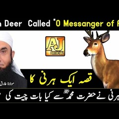 [Story] When The Deer Talking to Prophet Muhammad ﷺ - Maulana Tariq Jameel Bayan 2017