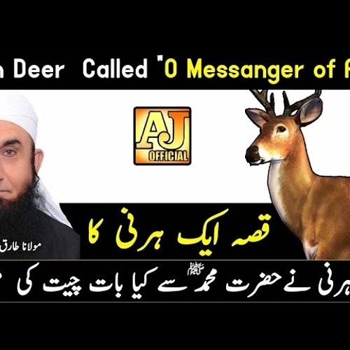 [Story] When The Deer Talking to Prophet Muhammad ﷺ - Maulana Tariq Jameel Bayan 2017