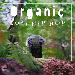 Organic Lofi Hip Hop Demo