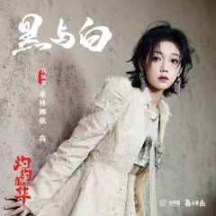 黑與白（電視劇《灼灼韶華》哀婉曲） (和聲伴奏版)