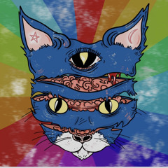 First Class-(Rainbow Kitten Surprise) [chance bootleg]