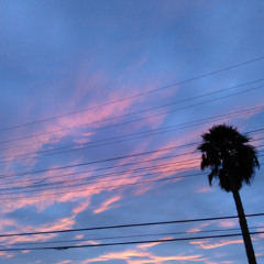 The Condtion-11/20/25 DJ Mix