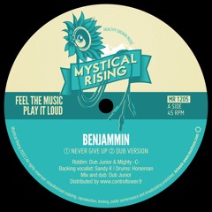 BENJAMMIN  - NEVER GIVE UP   +  DUB VERSION  -  Vinyl MYSTICAL RISING MR1205 A Side