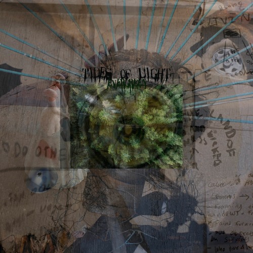 Tides of Light - Evergreen