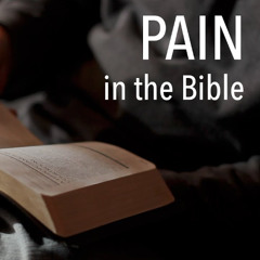 Pain by Pr Paddick LDMI