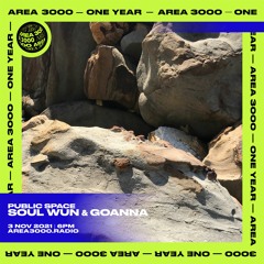 Public Space W  Soul Wun & Goanna - 3 November 2021