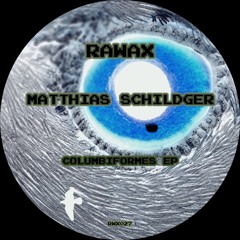 RWX027 - Matthias Schildger - A Song about Feral Pigeons (Digital Only)