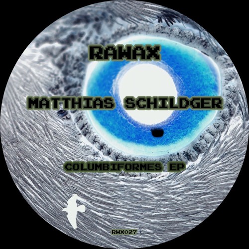 RWX027 - Matthias Schildger - A Song about Feral Pigeons (Digital Only)