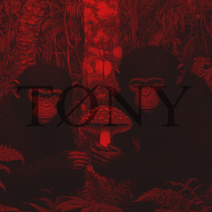 Cønvøcatøria Dj Cøntest / Privat / Tøxic Søuls