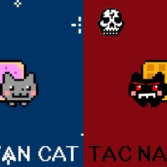 Nyan Cat vs Hater Cat ^meow :3 prod akyuu