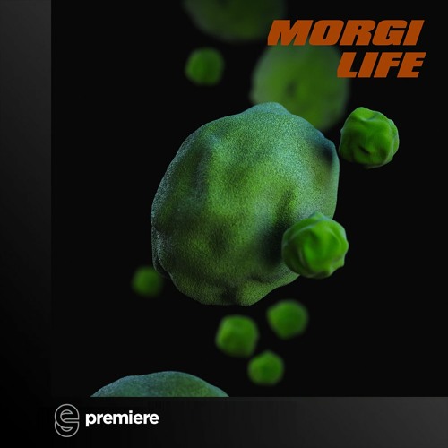 Premiere: Morgi - Life - Three Hands Records