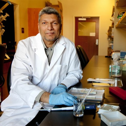 Stream Aspartame Findings Raise New Research Questions By Florida State benefits-of-aspartame-aspartame